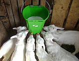 Відро-поїлка для ягнят, козенят, поросят на 6 сосок, фото 2
