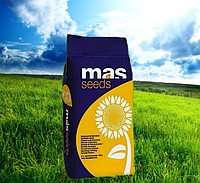 Насіння соняшнику MAS 97.A , MAS Seeds ( Класичний )