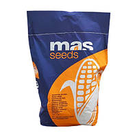 Семена кукурузы MAS 35.K