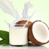 Кокосове молоко сухе Veganprod 250г, фото 2