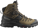 Оригінальні чоловічі черевики SALOMON QUEST 4 GTX GORE-TEX (416307), фото 4