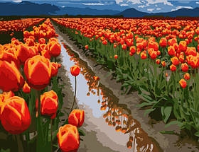 Картина за номерами Поля в Голландії 40*50 см ArtCraft 10524-AC