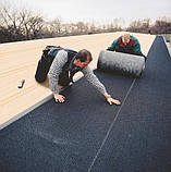 Мембрана DELTA-TRELA дифузійна покрівельна об'ємна структурована, фото 4