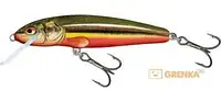 Плаваючий Воблер Salmo Minnow 70mm 7g (M7SDR-RBD)