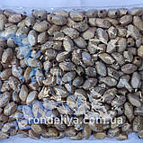 Намистина з глітером "Ромб" беж, фото 2