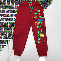 Спортивные брюки детские ДИНОЗАВР для мальчика 1-8 лет,цвет красный