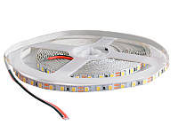 Светодиодная лента BIOM NARROW 1 м SMD2835-120led 12В IP20 7000-7500К холодный белый