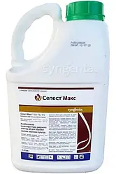 Селест Макс 5л Syngenta протруйник для пшениці і ячменю, протруєння насіння проти хвороб і шкідників