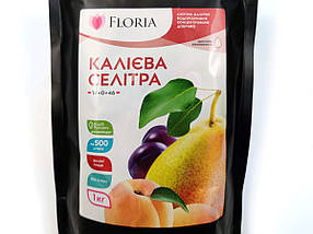 Добриво Floria Sol калієва селітра водорозчинне Флорія Сол - 1 кг, фото 3