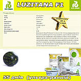 Кавун ультра-ранній ЛУЗІТАНА F1 / LUZITANA F1, ТМ Rijk Zwaan (Нідерланди), фото 5