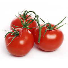 Насіння Томатів