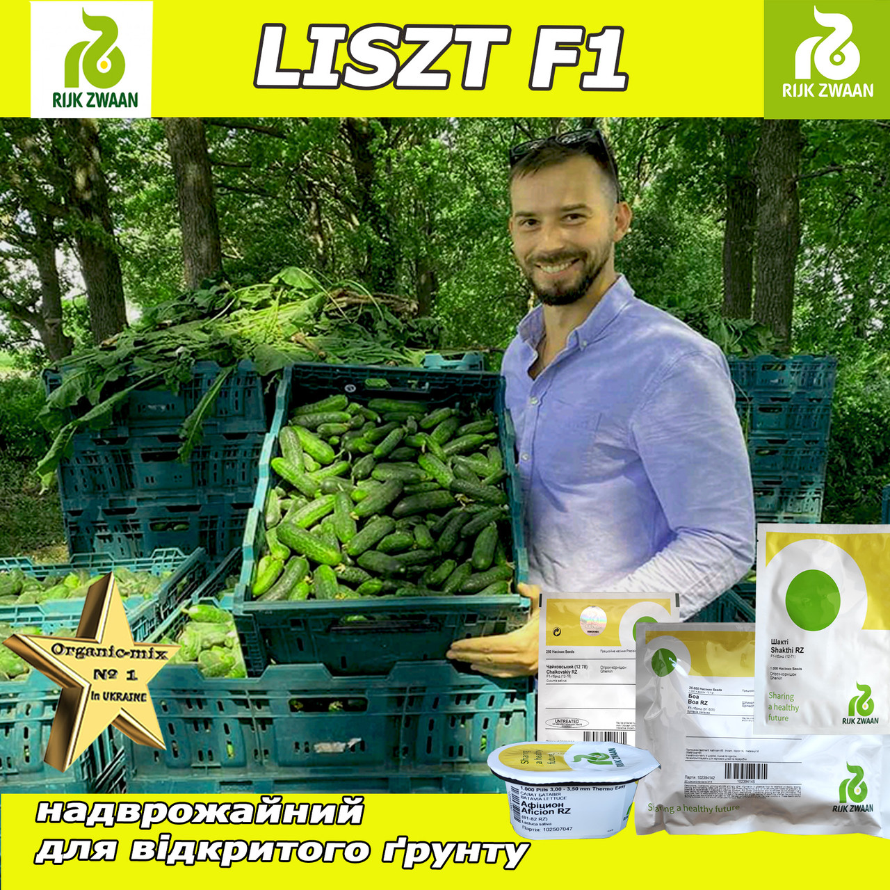 Огірок  ЛІСТ F1, партенокарпічний, ТМ Rijk Zwaan (Нідерланди)