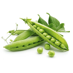 Насіння Гороху