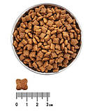 Сухий корм для цуценят «Екко-гранула» 10кг, фото 2