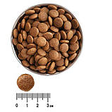 Сухий корм для цуценят «Екко-гранула» 10кг, фото 3