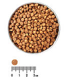 Сухий корм для котів з лососем «Екко-гранула» 10кг, фото 2