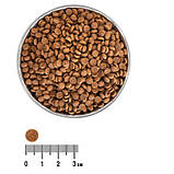 Корм для котів з креветкою Pandalus Borealis «Екко-гранула» 10кг, фото 2