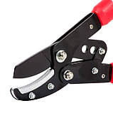 Сучкоріз садовий для обрізки гілок 730 мм. INTERTOOL FT-1112, фото 7