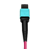 Кабель оптический MPO to 8x LC, MM OM4 50/125μm, POLARITY-B (for QSFP+/QSFP28), 1m Alistar, фото 5