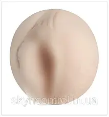 Мастурбатор вагіна Fleshlight Girls: Aleexis Texas, фото 3