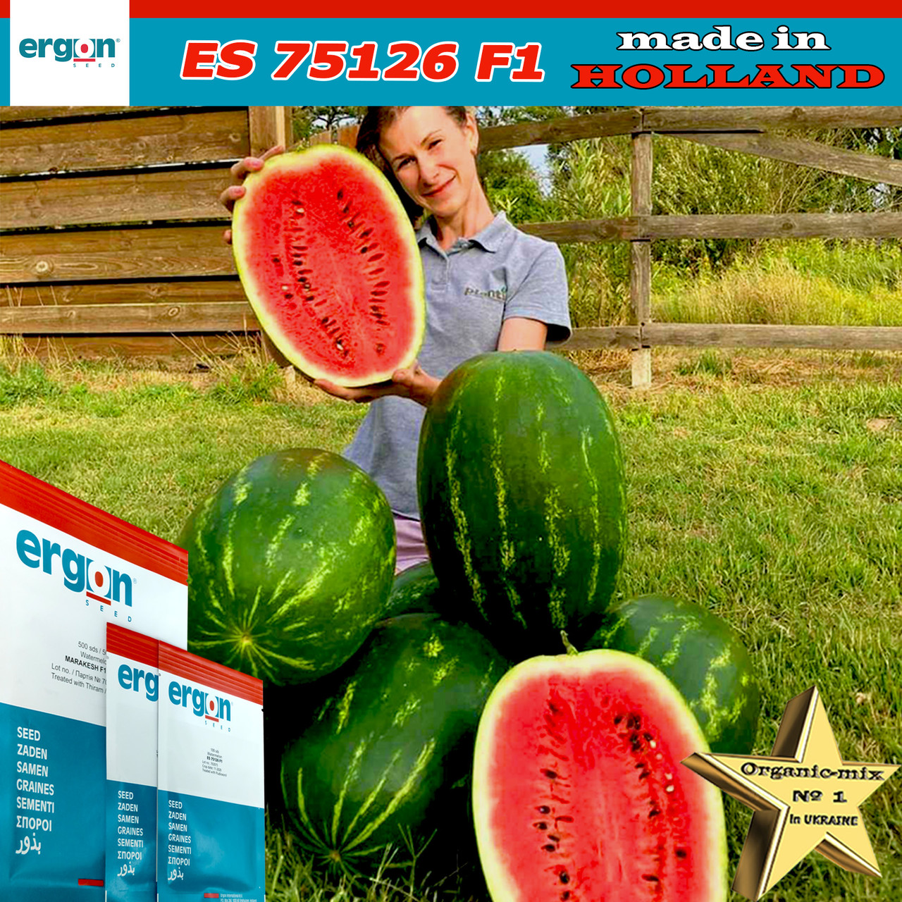 Кавун ранній ES 75126 F1, ТМ Ergon Seed (Голландія), 500 насінин (проф. пакет), фото 1