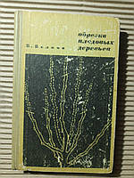 Обрезка плодовых деревьев. В. Велков. 1968 год