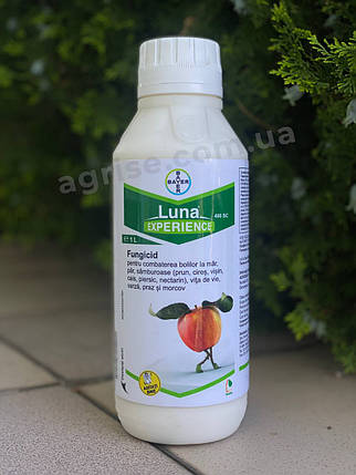 Фунгіцид Луна Експіріенс (Luna Ekspiriens) Bayer 1л, фото 1