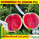 Насіння кавун ультра-ранній БОМБЕЙРО F1 (52026 F1), 1000 насінин, ТМ Hazera Seeds (Нідерланди), фото 2