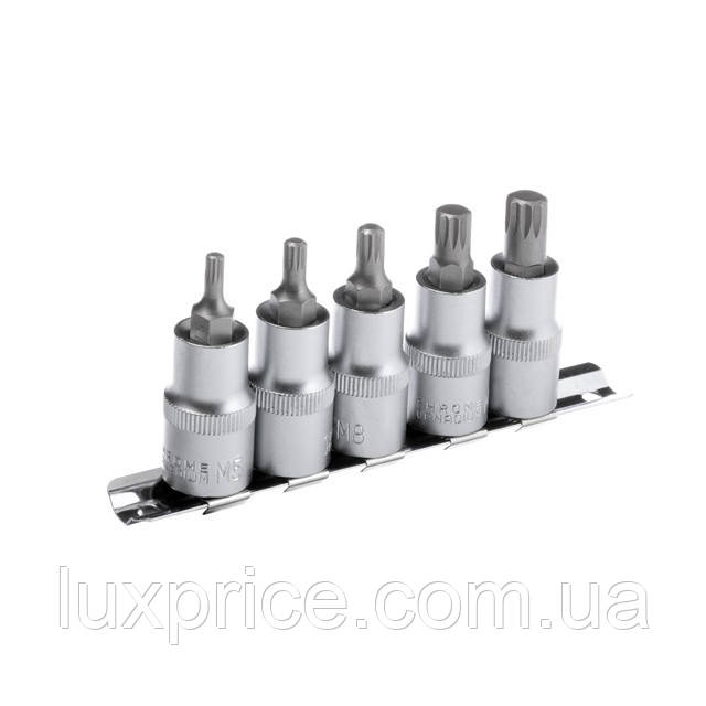 Набір сплайнів на планці, М5,6,8,10,12 - 1/2", 5 од. INTERTOOL HT-1850    Luxprice, фото 1