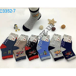 Шкарпетки махра дитячі для хлопчиків Фенна 5-6 років Оптом C3352