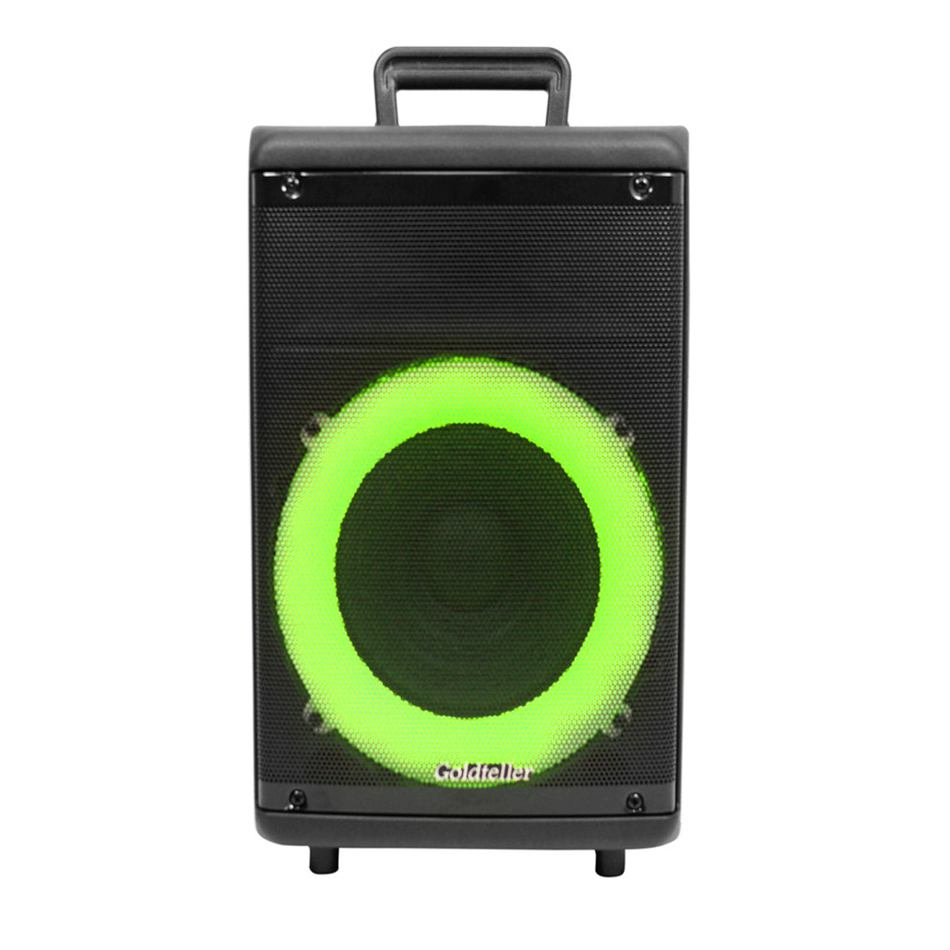 Акустична система Goldteller GT-6010 чемодан з караоке 1800 mAh 30W, фото 1