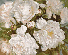 Картина за номерами Квіти Білі Півонії 40*50 см Ідейка KHO 2985