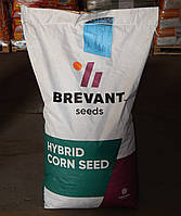 Семена кукурузы П9071 (Brevant) ФАО 280