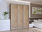 Шафа купе Doros Сіті Лайт Дуб Cонома 3 ДСП 180х60х225 (42002003), фото 3