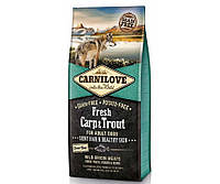 Carnilove Fresh Carp Trout for Adult Dog (Карнилав Фреш Эдалт Дог Карп Форель) корм для собак всех пород