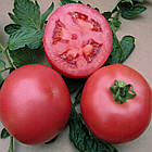 Насіння томату ВП-1 F1 (VP-1) 1000 шт, Hazera, фото 2