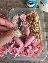 Набір сухих квітів для декору сухоцвіти  (2), фото 2
