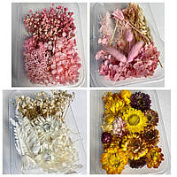 Набор сухих цветов для декора сухоцветы НАБОР (5)