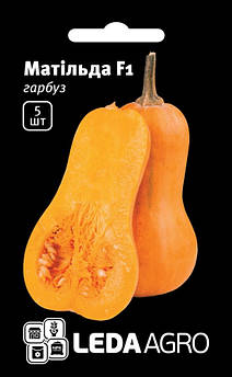 Насіння Гарбуза Матільда F1 5 шт (Leda Agro), середньоранній стресостійкий гібрид для відкритого ґрунту
