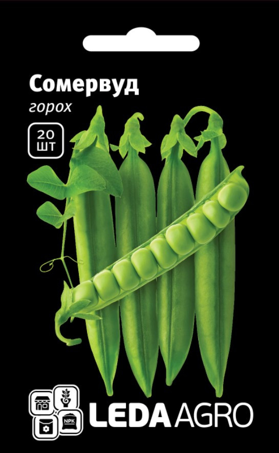Насіння Гороху Сомервуд, 20 шт (Leda Agro), середньоранній сорт адаптований до умов відкритого ґрунту, фото 1