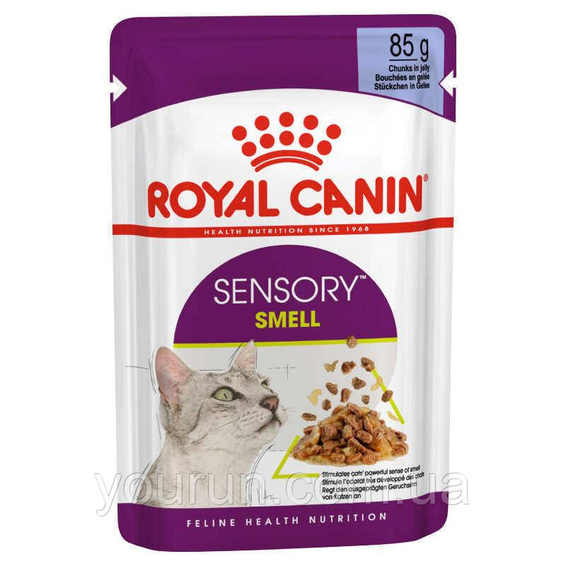 Royal Canin (Роял Канін)Sensory Smell in Jelly-консерви для котячих до аромату (кусочки в желє)85гр