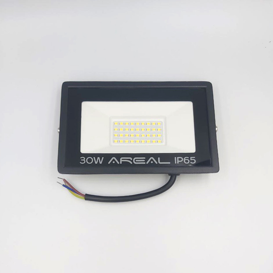 LED прожектор 30W Biom AREAL 30W 6200K IP65 2400Lm SMD2835 PR-30 22310