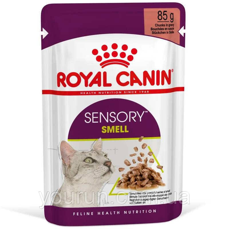 Rоyal Canin Sensory Smell in Gravy-консерви для кішок привережних до аромату (в соусі)85 гр