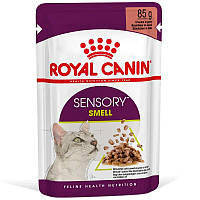 Royal Canin Sensory Smell in Gravy-консервы для кошек привередливых к аромату(в соусе)85 гр