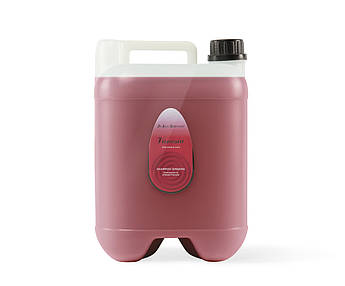 Шампунь Iv San Bernard Gin seng ,женьшеневий для ослабл, та випадаючої шерсті котів і собак, 10л