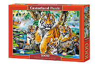 Пазлы Castorland 1000 "Семья тигров у ручья" 68*47 см