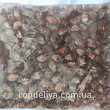 Намистини акріл з візерунком Конус Б43 50 гр, фото 2