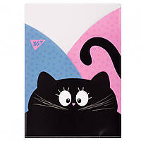 Папка - уголок YES A4 "Meow", 3 фигурных отделения 491928 rish