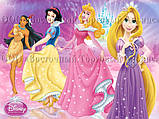 Друк їстівного фото — А4 — Вафельний папір — Принцеси No8, фото 4