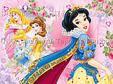 Друк їстівного фото — А4 — Вафельний папір — Принцеси No8, фото 5